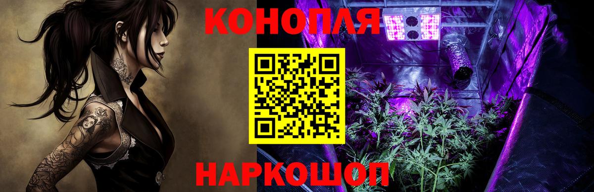 Марихуана план Волгодонск
